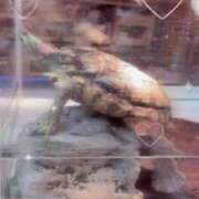 ヒメ日記 2025/03/10 10:03 投稿 えな 鶯谷デリヘル倶楽部