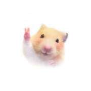 えな 今後について🙏🏻 鶯谷デリヘル倶楽部