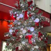 ヒメ日記 2024/12/21 22:48 投稿 楓/Kaede ジュリエット