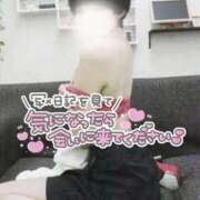 ヒメ日記 2025/03/16 08:40 投稿 夢乃(ゆめの) 厚木奥様Life