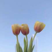 ヒメ日記 2025/05/04 18:02 投稿 るか アロマエステ アイウィッシュ