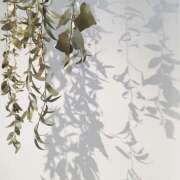 ヒメ日記 2025/06/14 19:02 投稿 るか アロマエステ アイウィッシュ