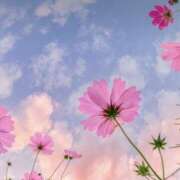 ヒメ日記 2025/10/12 01:26 投稿 るか アロマエステ アイウィッシュ