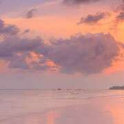 ヒメ日記 2025/11/10 17:38 投稿 るか アロマエステ アイウィッシュ