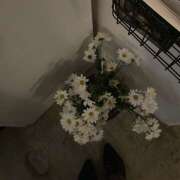 ヒメ日記 2025/11/28 07:48 投稿 るか アロマエステ アイウィッシュ