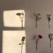 ヒメ日記 2025/12/02 13:30 投稿 るか アロマエステ アイウィッシュ