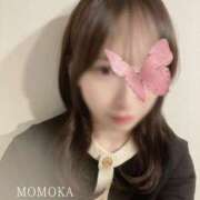 ヒメ日記 2025/02/28 20:26 投稿 ももか プリティラビット