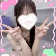 ヒメ日記 2025/04/01 10:30 投稿 ももか プリティラビット