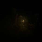 ヒメ日記 2025/08/03 11:15 投稿 ももか プリティラビット