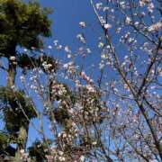 ももか 2️⃣0️⃣2️⃣6️⃣💐🤍 プリティラビット