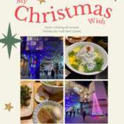 ヒメ日記 2025/12/24 00:26 投稿 ゆき あなたの全てを包み込む　優しいひとづま