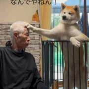 ヒメ日記 2026/01/09 13:51 投稿 ゆき あなたの全てを包み込む　優しいひとづま