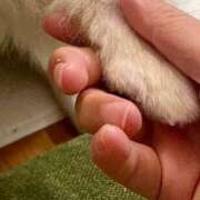 ヒメ日記 2026/02/14 22:42 投稿 ゆき あなたの全てを包み込む　優しいひとづま