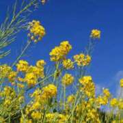 ヒメ日記 2026/03/09 12:52 投稿 ゆき あなたの全てを包み込む　優しいひとづま