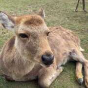 ヒメ日記 2026/05/06 19:38 投稿 みい 福島♂風俗の神様 郡山店