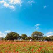 ヒメ日記 2025/09/17 12:41 投稿 ゆりあ 五反田くぃーんず