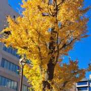 ヒメ日記 2024/12/11 14:20 投稿 さえか 横浜ミセスアロマ（ユメオト）