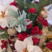 ヒメ日記 2024/12/12 14:36 投稿 さえか 横浜ミセスアロマ（ユメオト）