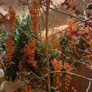 ヒメ日記 2024/12/15 12:36 投稿 さえか 横浜ミセスアロマ（ユメオト）