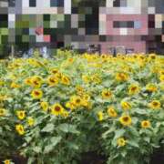 ヒメ日記 2025/01/22 14:15 投稿 さえか 横浜ミセスアロマ（ユメオト）