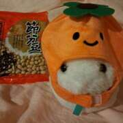 ヒメ日記 2025/02/02 14:27 投稿 さえか 横浜ミセスアロマ（ユメオト）