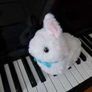 ヒメ日記 2025/02/03 14:34 投稿 さえか 横浜ミセスアロマ（ユメオト）