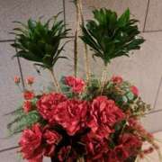 ヒメ日記 2025/02/04 14:14 投稿 さえか 横浜ミセスアロマ（ユメオト）