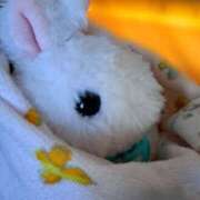 ヒメ日記 2025/02/11 20:21 投稿 さえか 横浜ミセスアロマ（ユメオト）