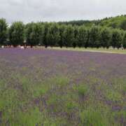 ヒメ日記 2025/02/25 14:30 投稿 さえか 横浜ミセスアロマ（ユメオト）