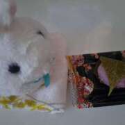 ヒメ日記 2025/03/03 18:57 投稿 さえか 横浜ミセスアロマ（ユメオト）