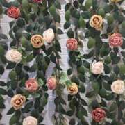 ヒメ日記 2025/03/05 18:25 投稿 さえか 横浜ミセスアロマ（ユメオト）