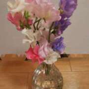 ヒメ日記 2025/03/07 14:32 投稿 さえか 横浜ミセスアロマ（ユメオト）