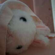 ヒメ日記 2025/04/08 14:05 投稿 さえか 横浜ミセスアロマ（ユメオト）