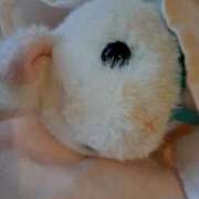 ヒメ日記 2025/04/11 20:41 投稿 さえか 横浜ミセスアロマ（ユメオト）