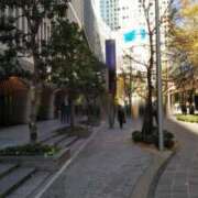 ヒメ日記 2025/04/13 12:29 投稿 さえか 横浜ミセスアロマ（ユメオト）