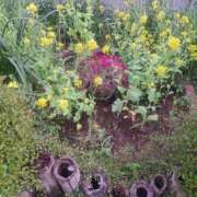 ヒメ日記 2025/04/18 16:58 投稿 さえか 横浜ミセスアロマ（ユメオト）