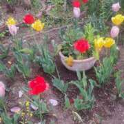 ヒメ日記 2025/04/18 17:04 投稿 さえか 横浜ミセスアロマ（ユメオト）