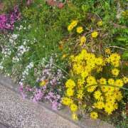 ヒメ日記 2025/04/26 21:18 投稿 さえか 横浜ミセスアロマ（ユメオト）