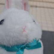 ヒメ日記 2025/05/02 12:24 投稿 さえか 横浜ミセスアロマ（ユメオト）