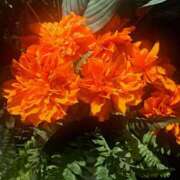 ヒメ日記 2025/05/04 00:21 投稿 さえか 横浜ミセスアロマ（ユメオト）