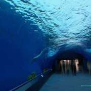 ヒメ日記 2025/05/21 13:46 投稿 さえか 横浜ミセスアロマ（ユメオト）