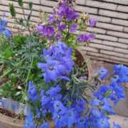 ヒメ日記 2025/05/28 22:11 投稿 さえか 横浜ミセスアロマ（ユメオト）