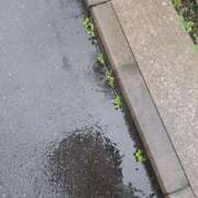 ヒメ日記 2025/06/03 14:42 投稿 さえか 横浜ミセスアロマ（ユメオト）