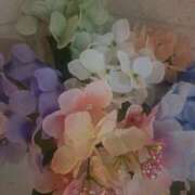 ヒメ日記 2025/06/09 14:49 投稿 さえか 横浜ミセスアロマ（ユメオト）