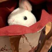 ヒメ日記 2025/06/14 22:12 投稿 さえか 横浜ミセスアロマ（ユメオト）