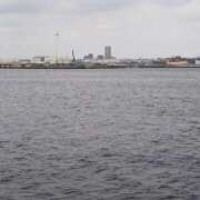 ヒメ日記 2025/06/25 20:19 投稿 さえか 横浜ミセスアロマ（ユメオト）