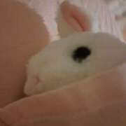 ヒメ日記 2025/07/05 21:47 投稿 さえか 横浜ミセスアロマ（ユメオト）