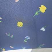 ヒメ日記 2025/07/14 14:28 投稿 さえか 横浜ミセスアロマ（ユメオト）