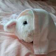 ヒメ日記 2025/08/20 20:44 投稿 さえか 横浜ミセスアロマ（ユメオト）