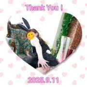 ヒメ日記 2025/09/12 20:47 投稿 さえか 横浜ミセスアロマ（ユメオト）